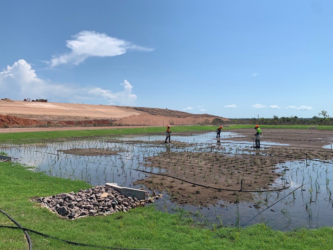 Shoal Bay Waste Management Facility Wetlands