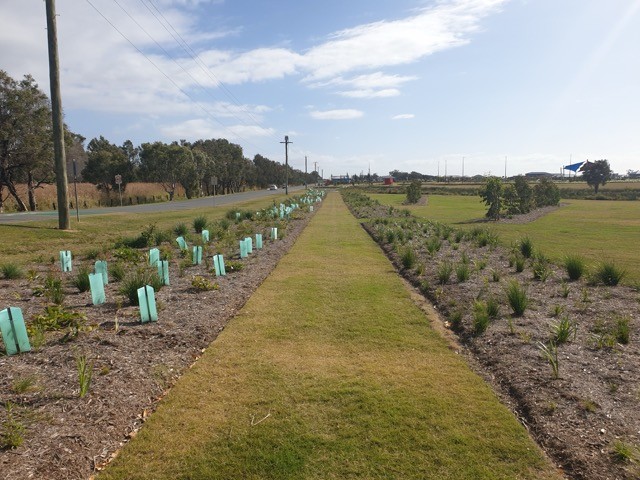 Rothwell; Nathan Road Wetland